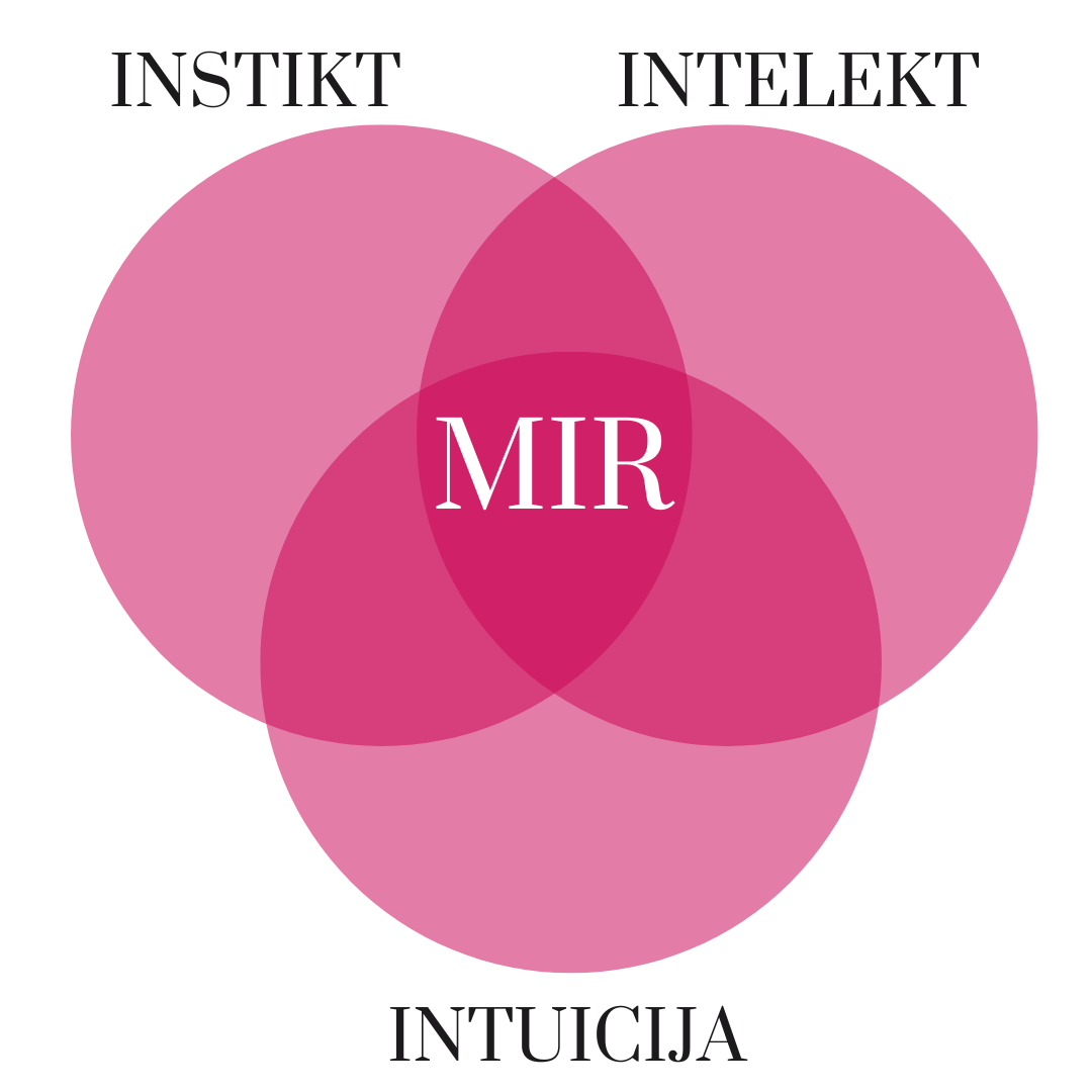 Instinkt, intelekt, intuicija i mir. Tačka mira i dobra odluka.